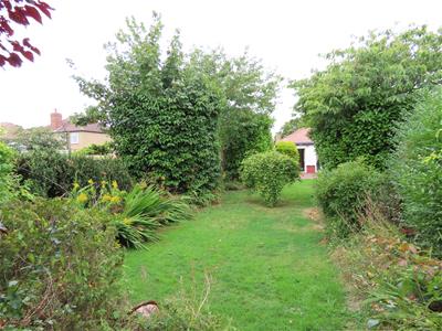 Picture 15